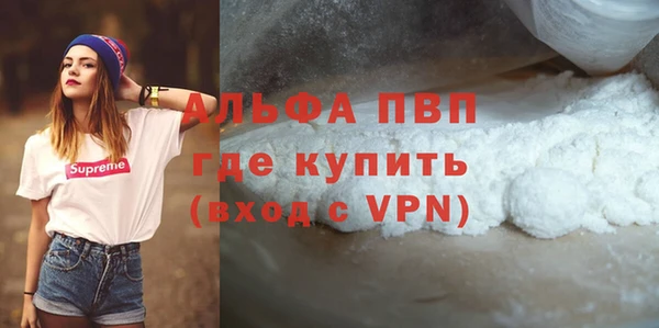 стаф Губаха