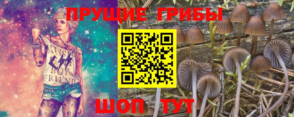Кумертау  Галлюциногенные грибы ЛСД  купить наркотики сайты  Галлюциногенные грибы MAGIC MUSHROOMS  Вход с VPN 